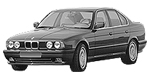 BMW E34 P0332 Fault Code