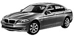 BMW F10 P0332 Fault Code